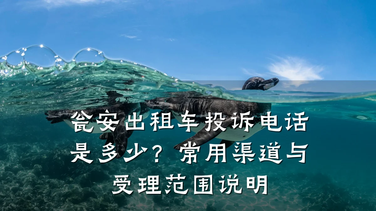 瓮安出租车投诉电话是多少？常用渠道与受理范围说明