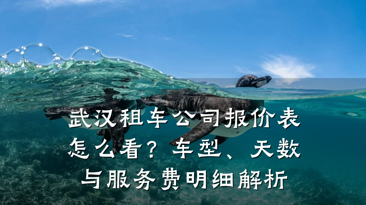 武汉租车公司报价表怎么看?车型、天数与服务费明细解析