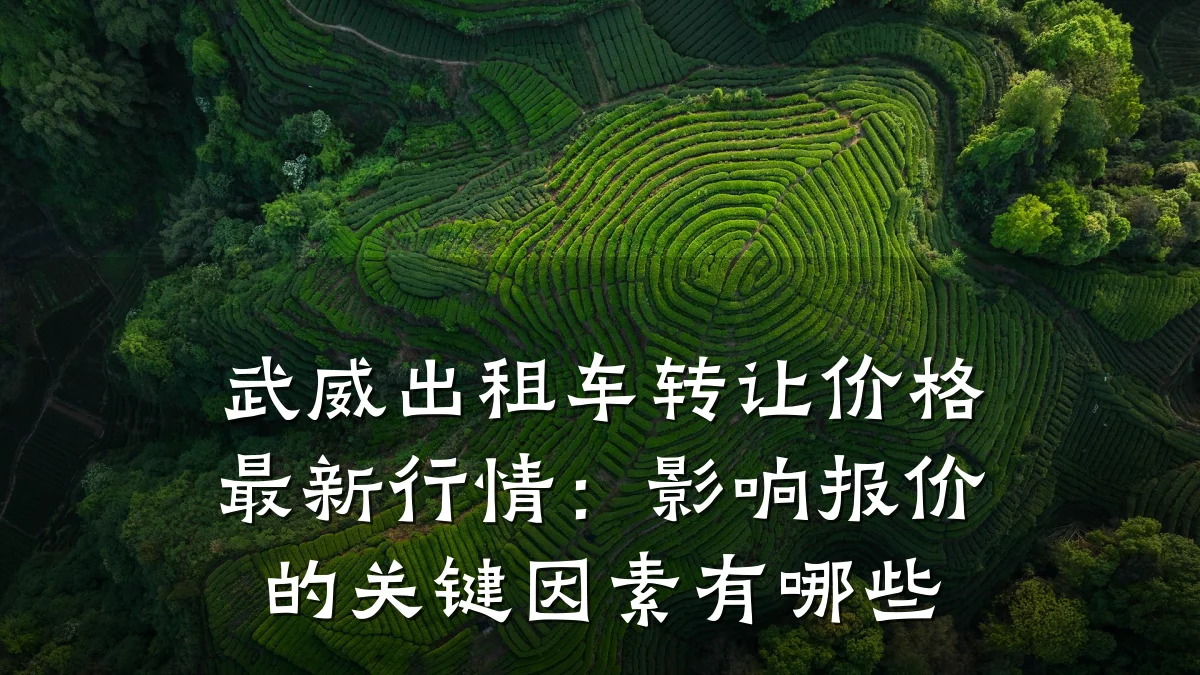 武威出租车转让价格最新行情:影响报价的关键因素有哪些