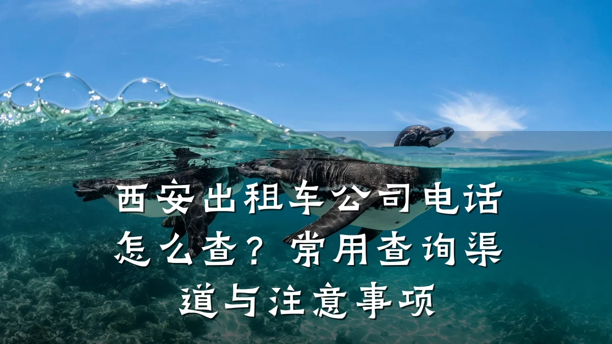 西安出租车公司电话怎么查？常用查询渠道与注意事项