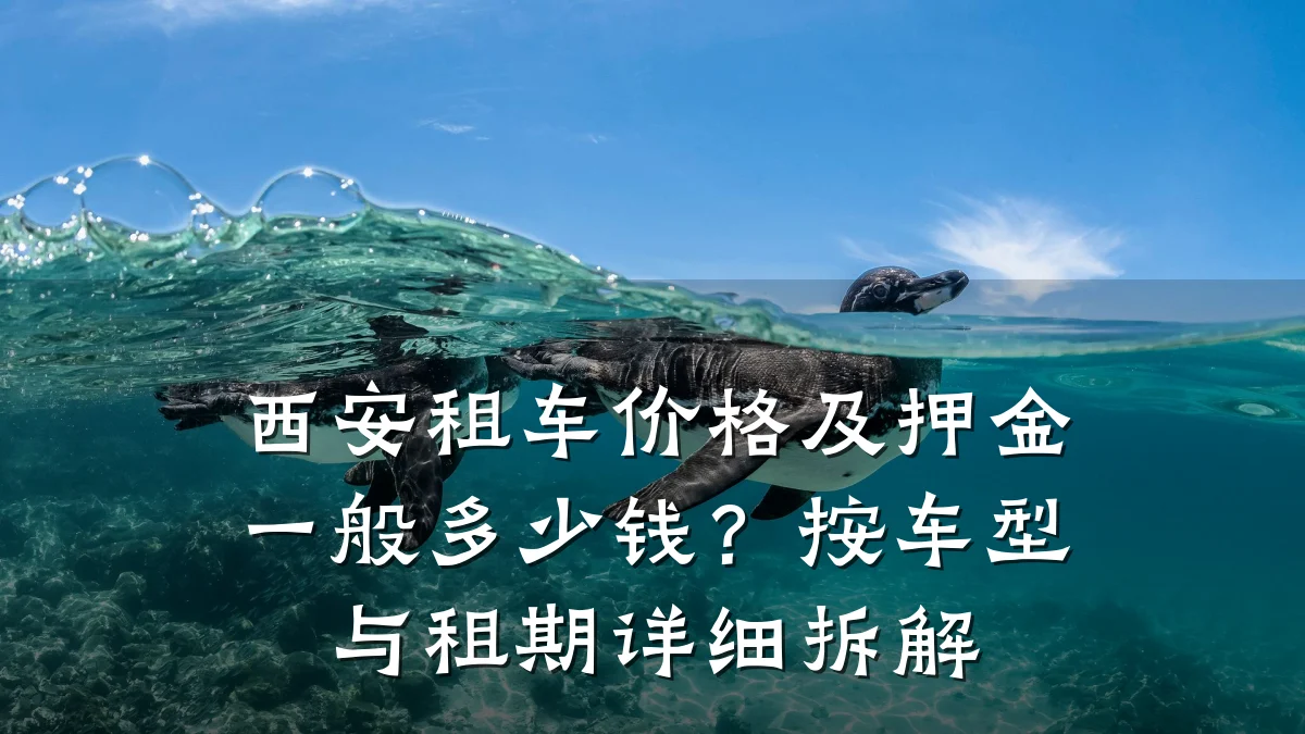 西安租车价格及押金一般多少钱？按车型与租期详细拆解