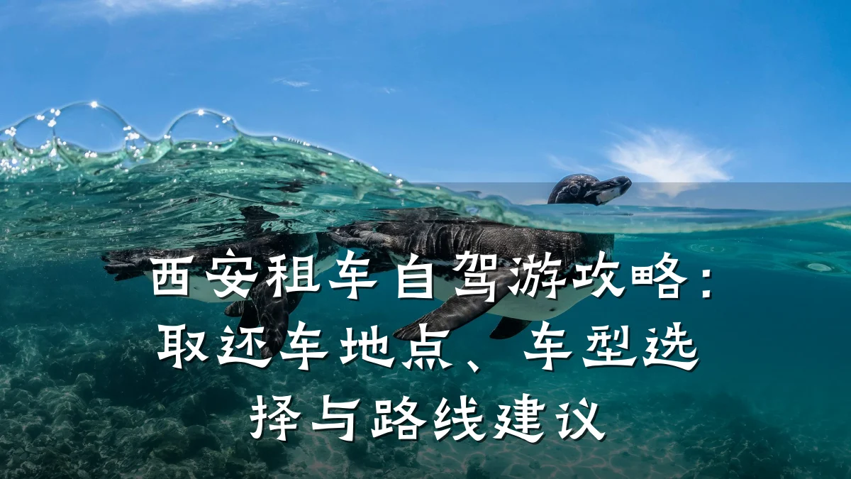 西安租车自驾游攻略:取还车地点、车型选择与路线建议
