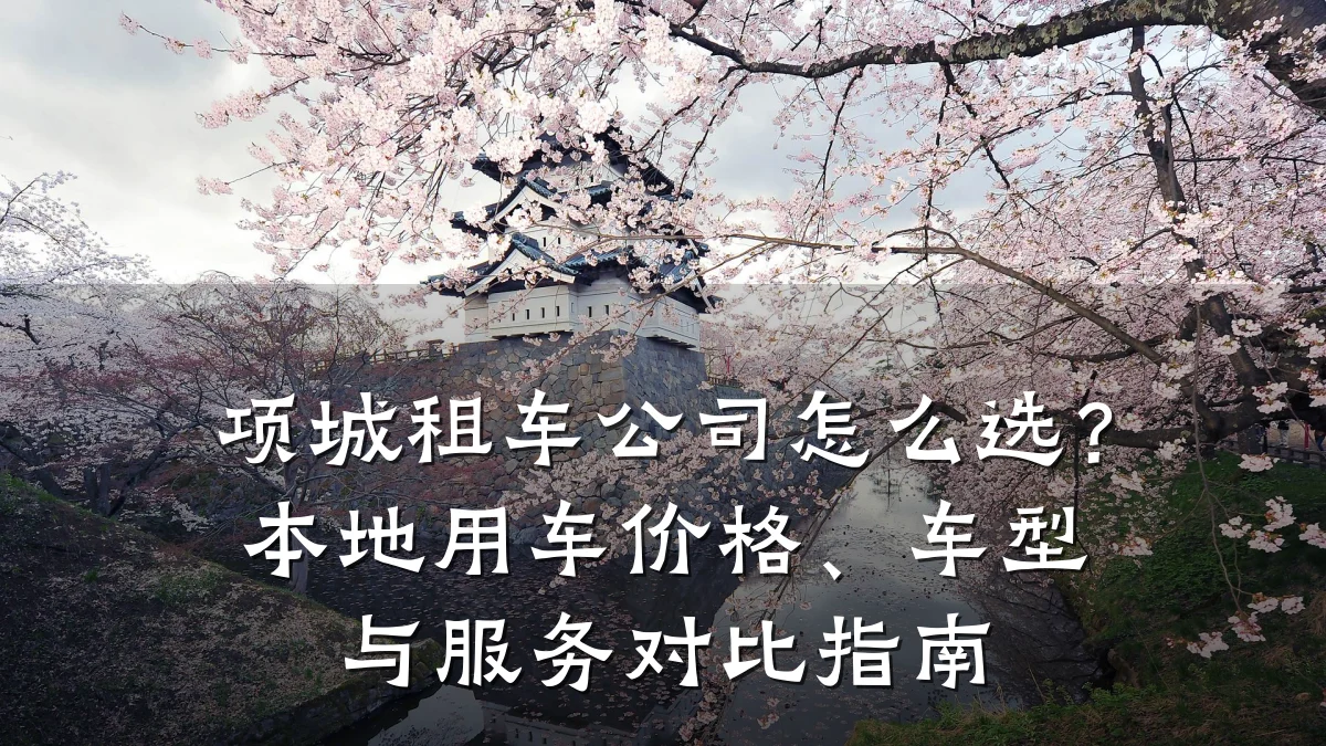 项城租车公司怎么选？本地用车价格、车型与服务对比指南