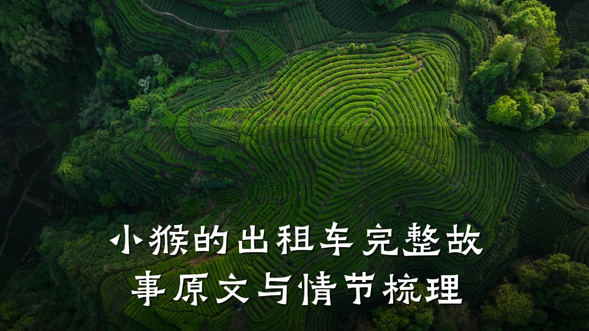 小猴的出租车完整故事原文与情节梳理