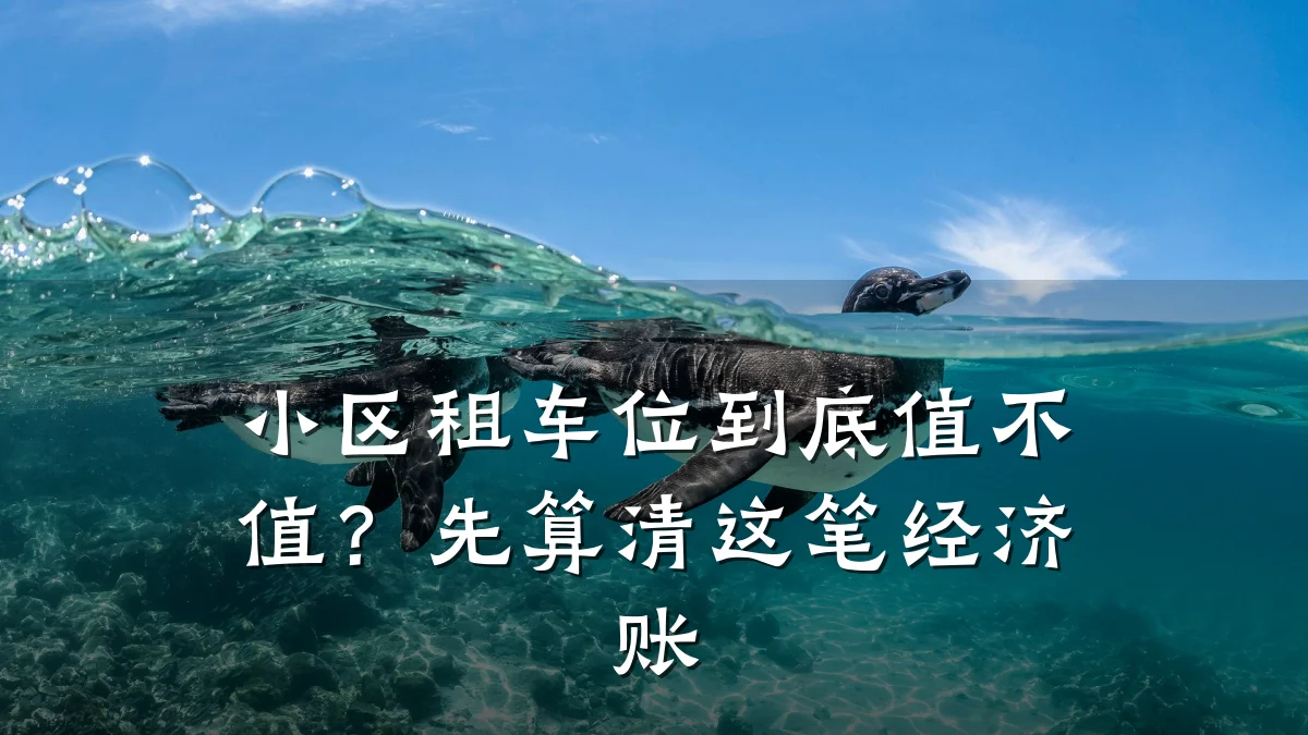 小区租车位到底值不值？先算清这笔经济账