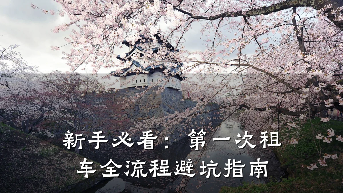 新手必看：第一次租车全流程避坑指南