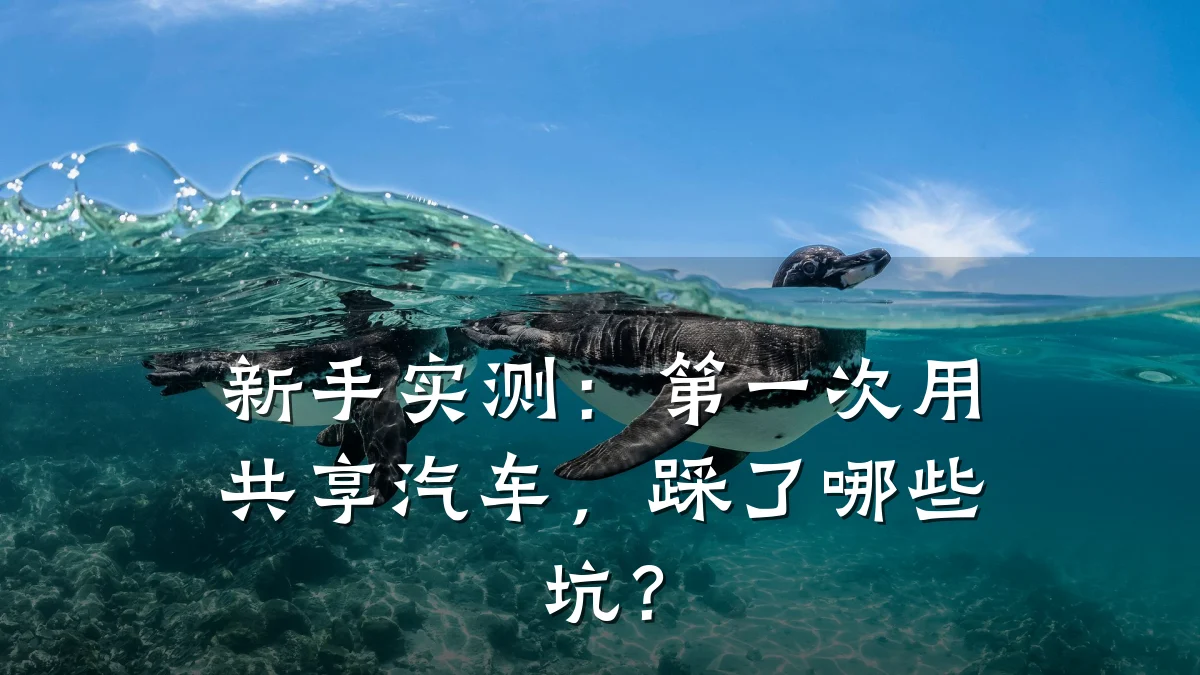 新手实测：第一次用共享汽车，踩了哪些坑？