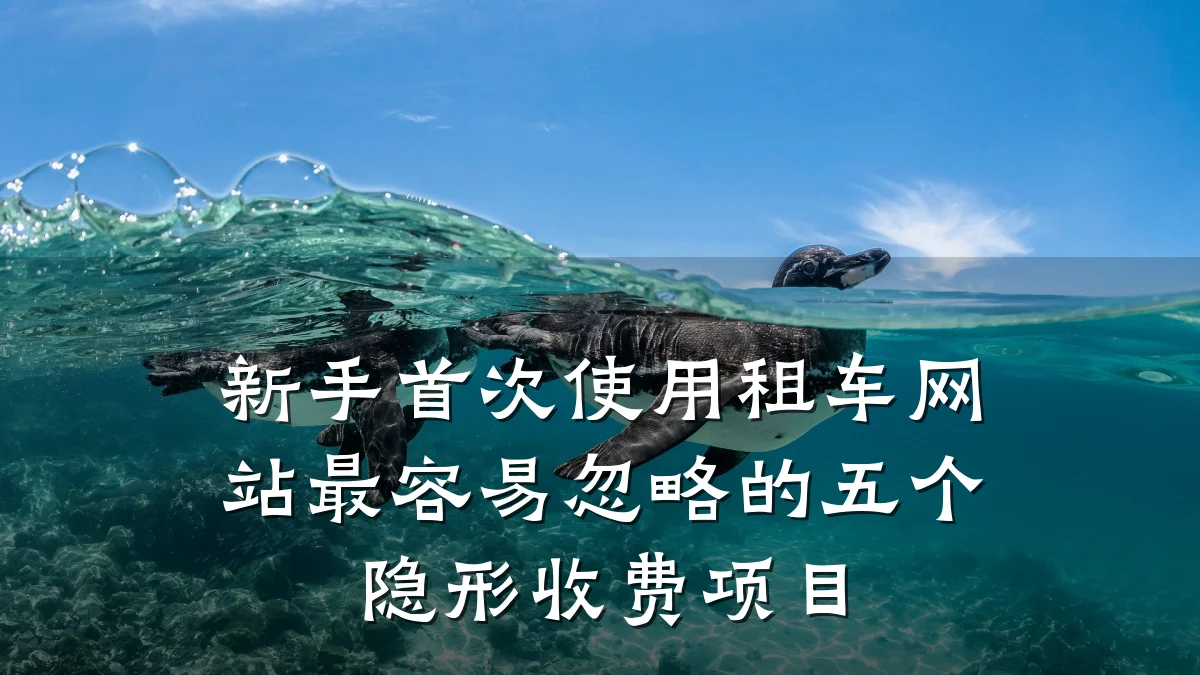 新手首次使用租车网站最容易忽略的五个隐形收费项目