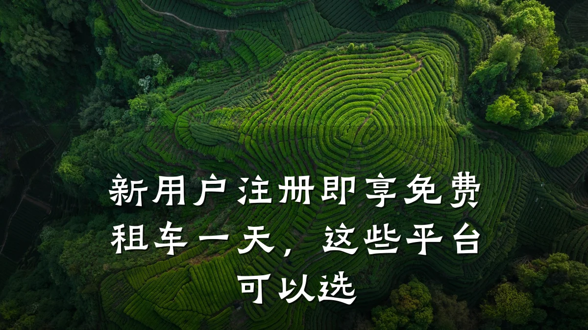 新用户注册即享免费租车一天，这些平台可以选