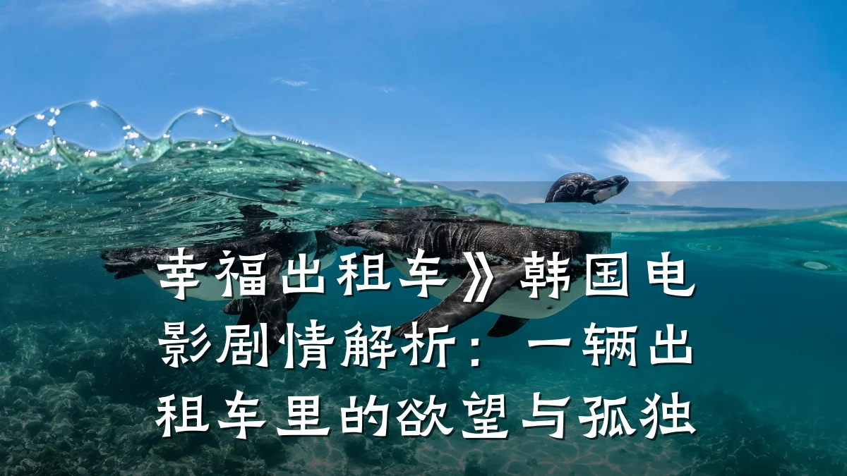 幸福出租车》韩国电影剧情解析：一辆出租车里的欲望与孤独