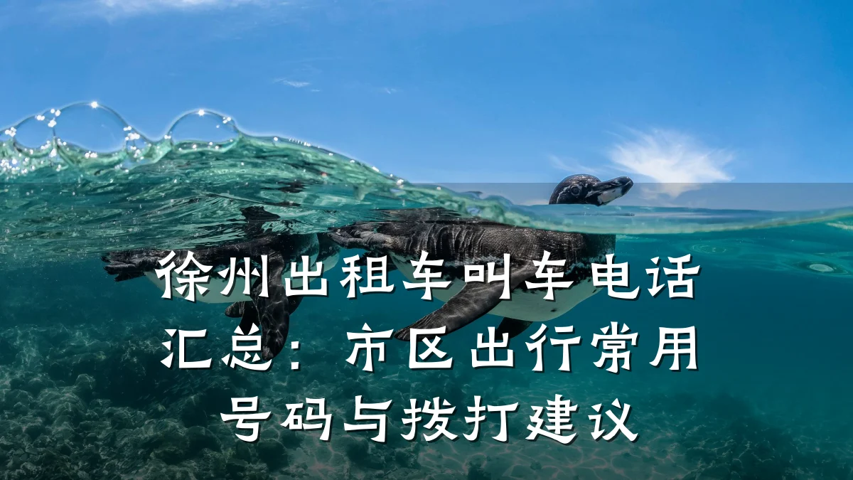 徐州出租车叫车电话汇总:市区出行常用号码与拨打建议