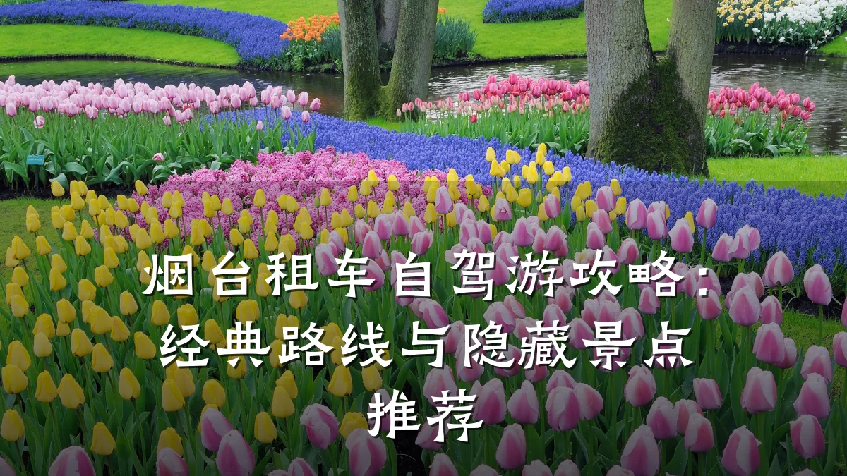 烟台租车自驾游攻略：经典路线与隐藏景点推荐