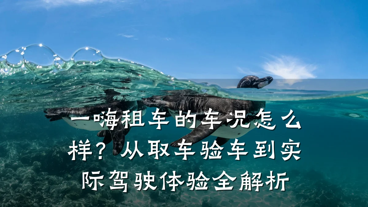 一嗨租车的车况怎么样?从取车验车到实际驾驶体验全解析