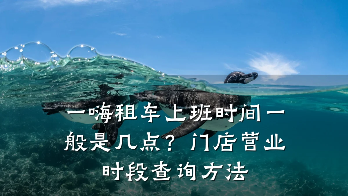 一嗨租车上班时间一般是几点?门店营业时段查询方法