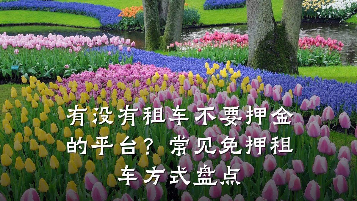 有没有租车不要押金的平台？常见免押租车方式盘点