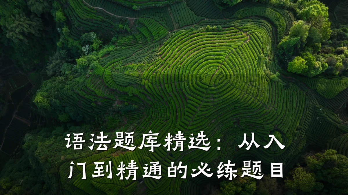 语法题库精选：从入门到精通的必练题目
