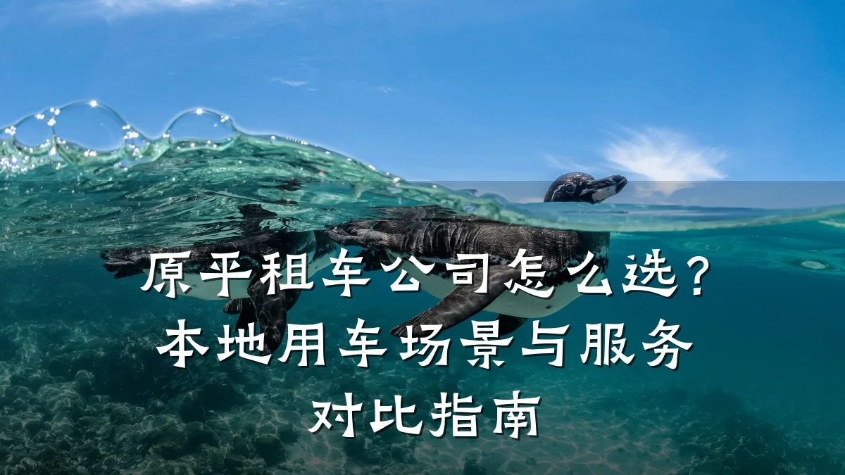 原平租车公司怎么选？本地用车场景与服务对比指南