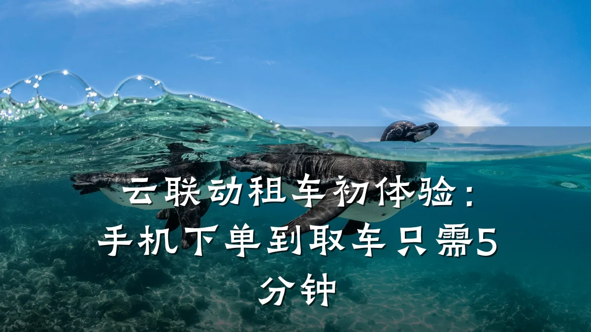 云联动租车初体验:手机下单到取车只需5分钟