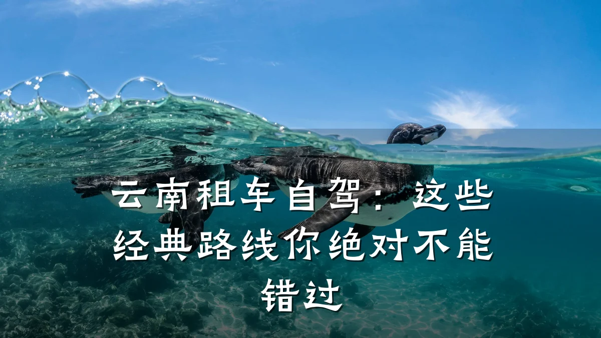 云南租车自驾：这些经典路线你绝对不能错过