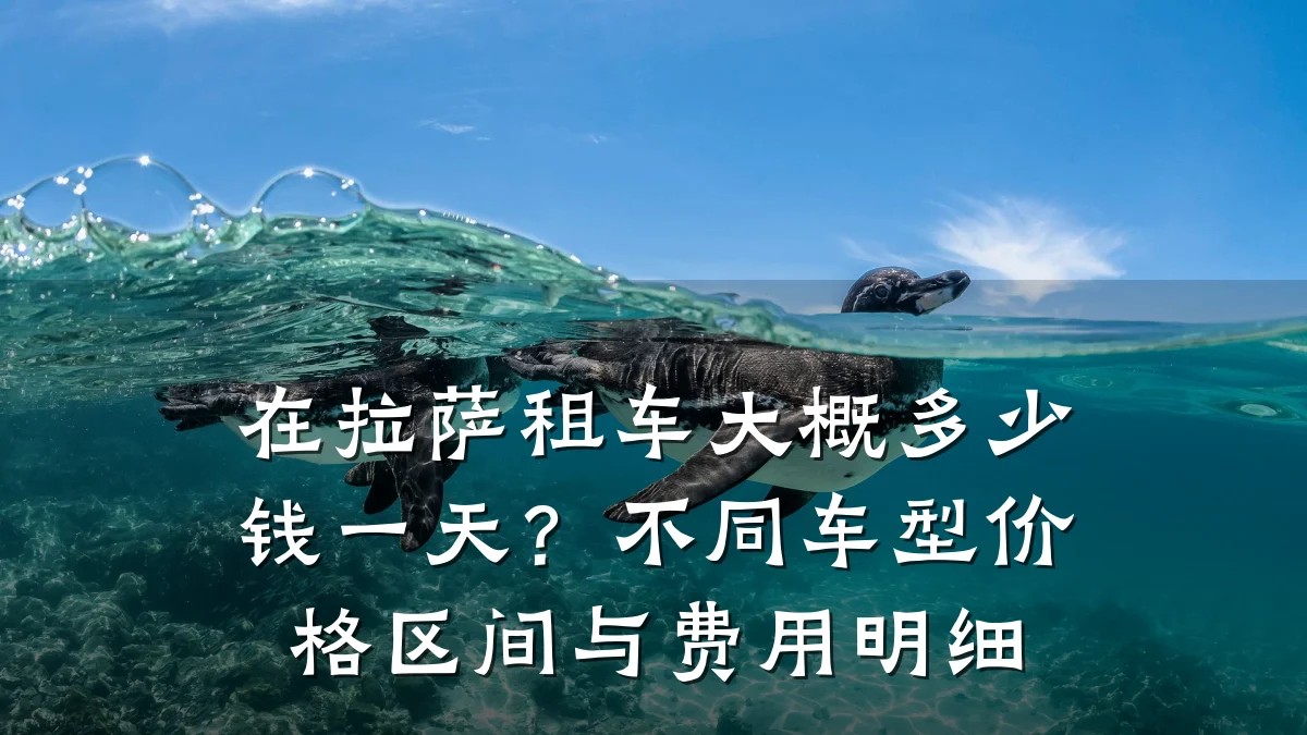 在拉萨租车大概多少钱一天?不同车型价格区间与费用明细