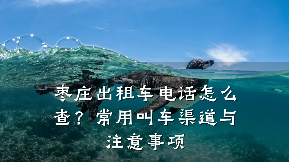 枣庄出租车电话怎么查?常用叫车渠道与注意事项