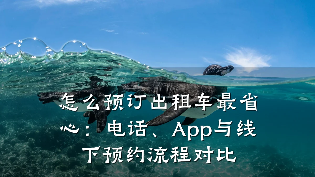 怎么预订出租车最省心：电话、App与线下预约流程对比