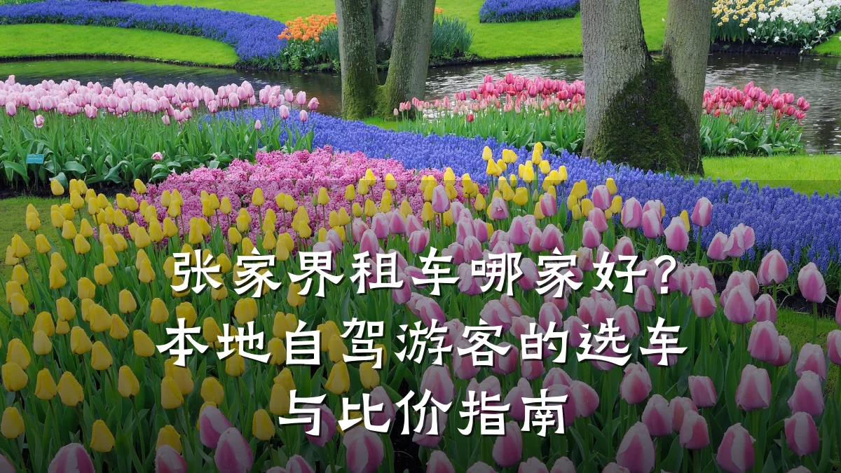 张家界租车哪家好？本地自驾游客的选车与比价指南