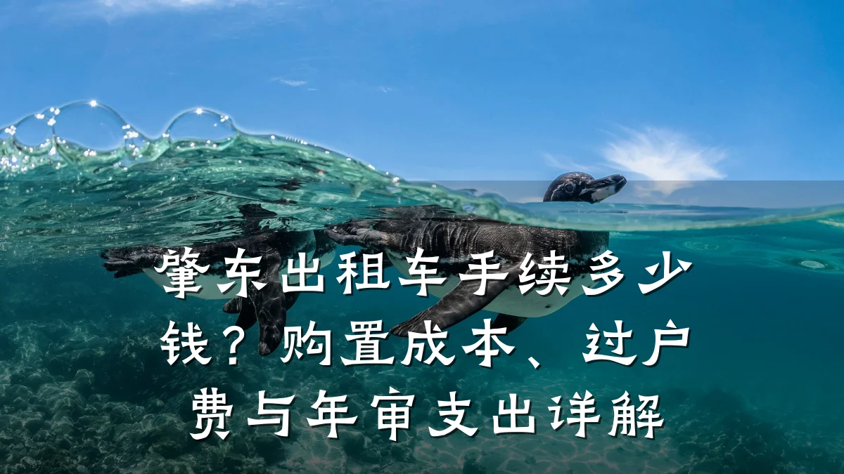 肇东出租车手续多少钱？购置成本、过户费与年审支出详解