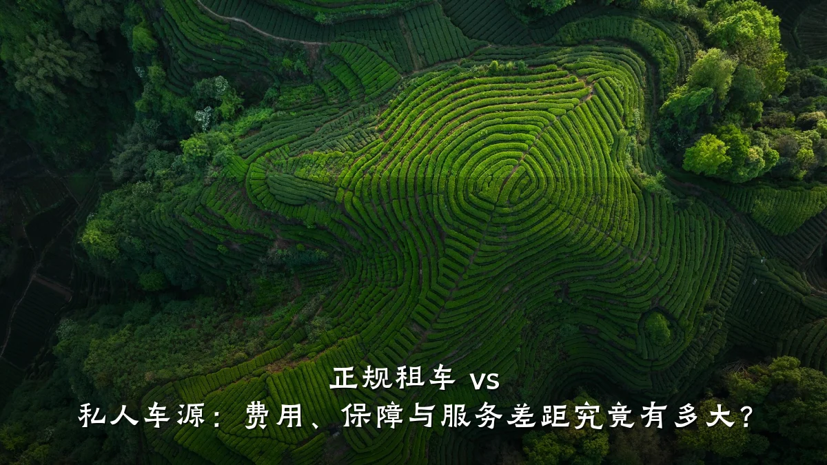 正规租车 vs 私人车源:费用、保障与服务差距究竟有多大?