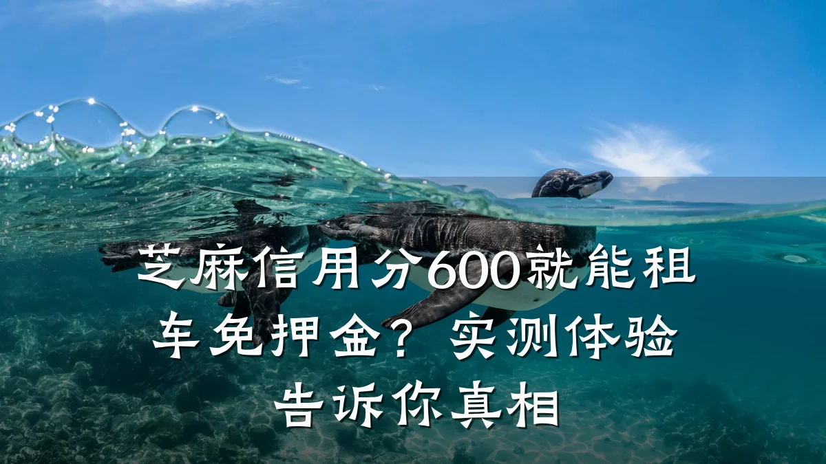 芝麻信用分600就能租车免押金？实测体验告诉你真相