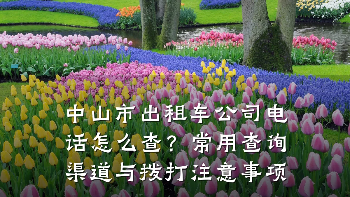 中山市出租车公司电话怎么查?常用查询渠道与拨打注意事项