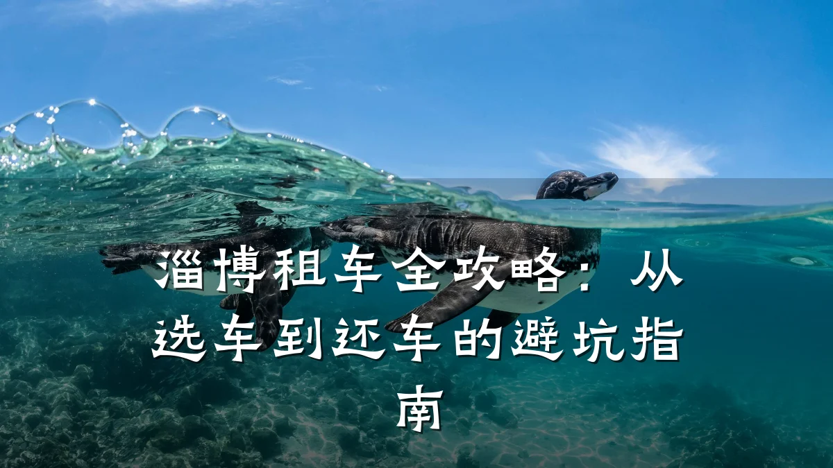 淄博租车全攻略:从选车到还车的避坑指南
