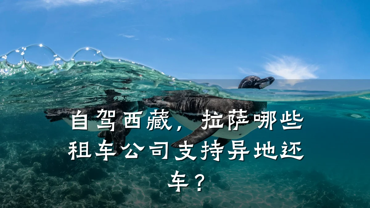 自驾西藏，拉萨哪些租车公司支持异地还车？