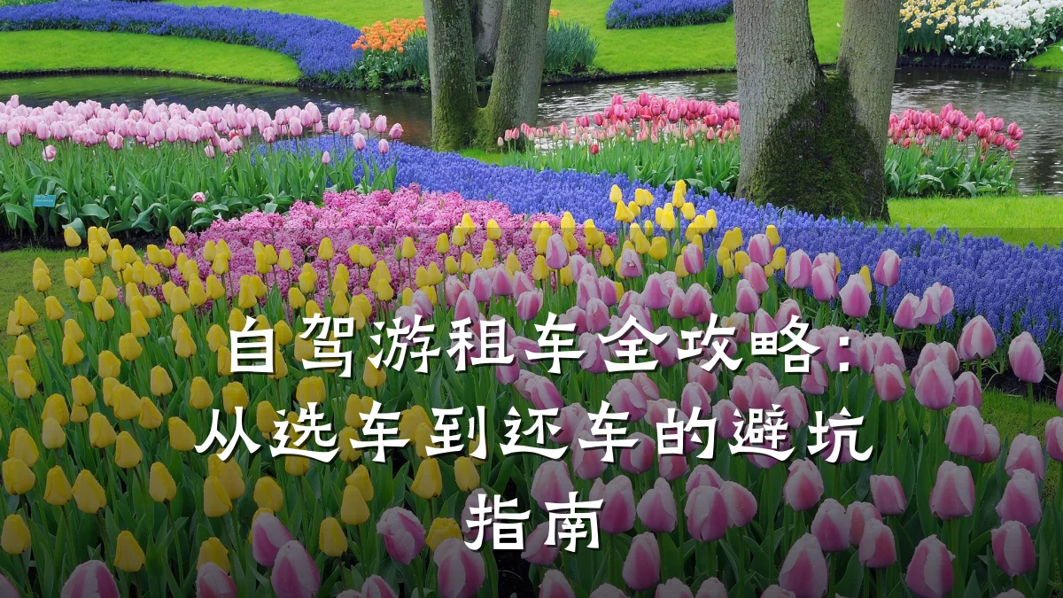 自驾游租车全攻略:从选车到还车的避坑指南