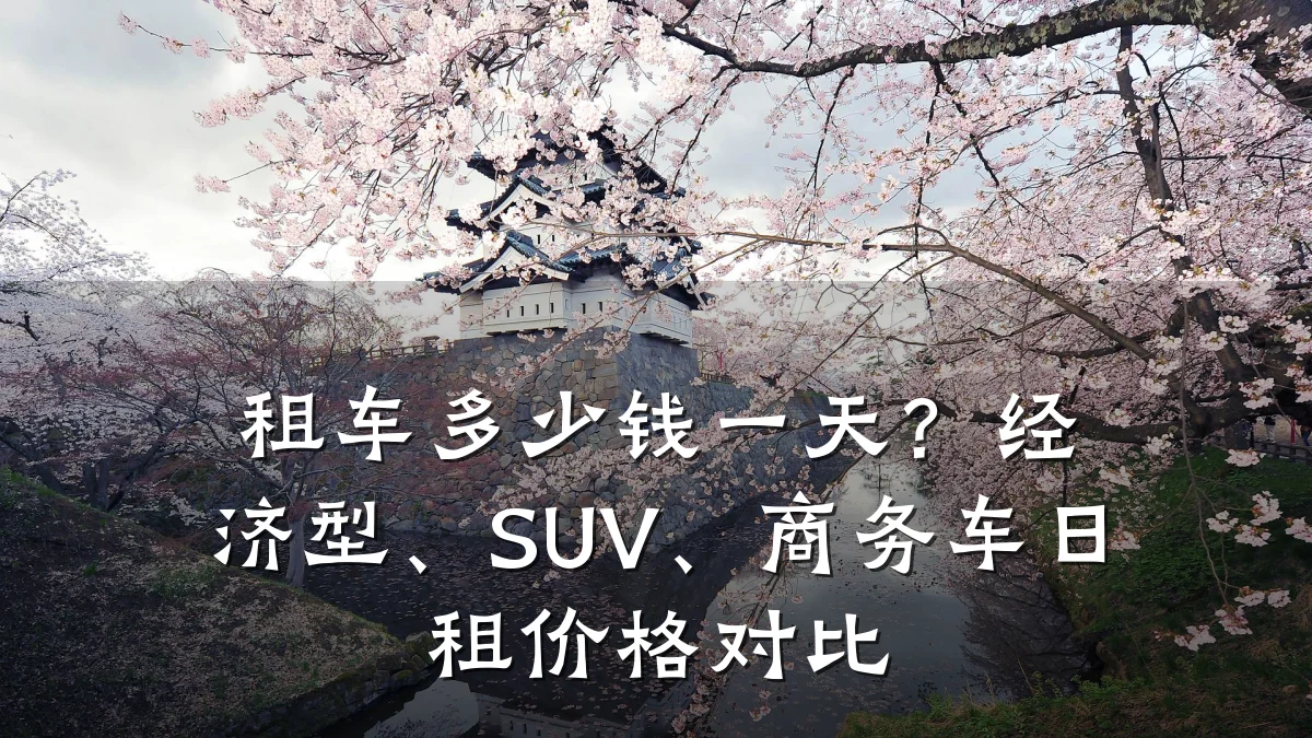 租车多少钱一天？经济型、SUV、商务车日租价格对比