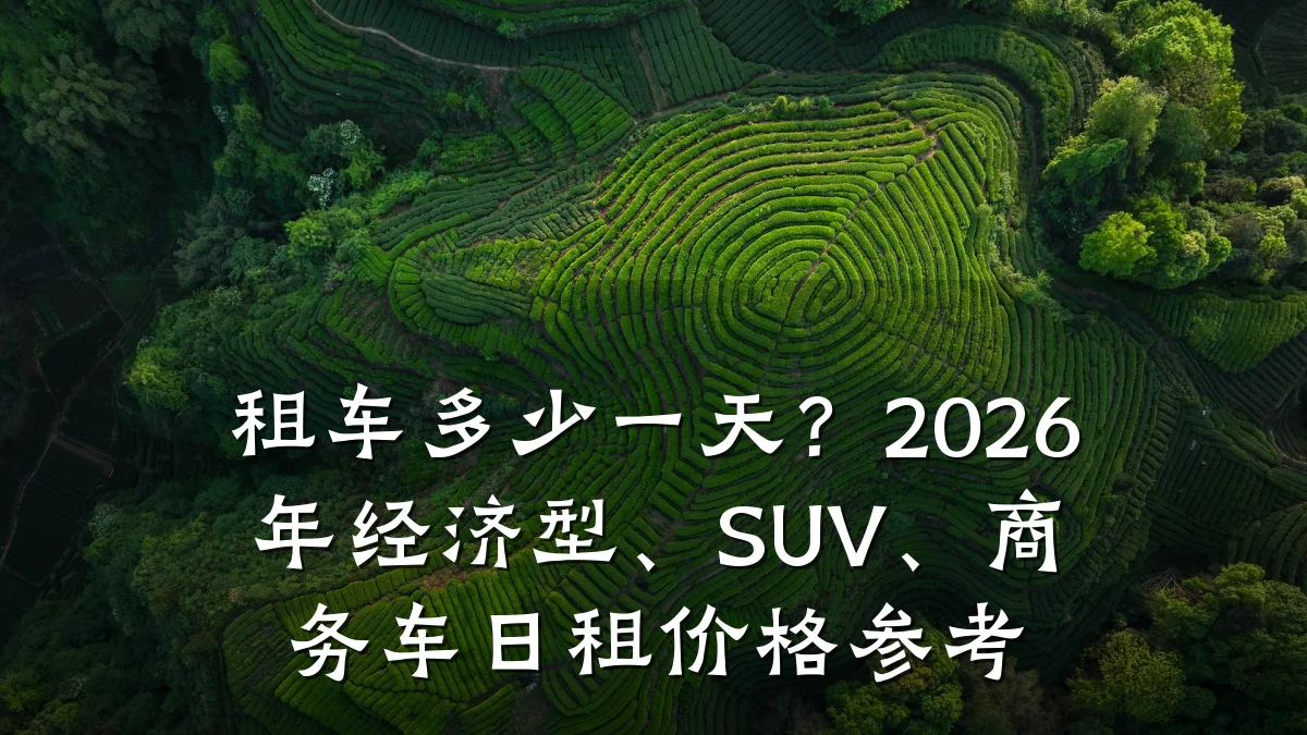 租车多少一天?2026年经济型、SUV、商务车日租价格参考