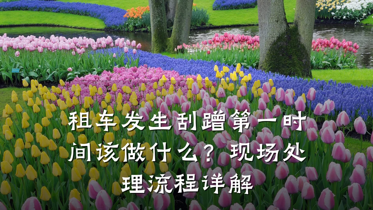 租车发生刮蹭第一时间该做什么?现场处理流程详解