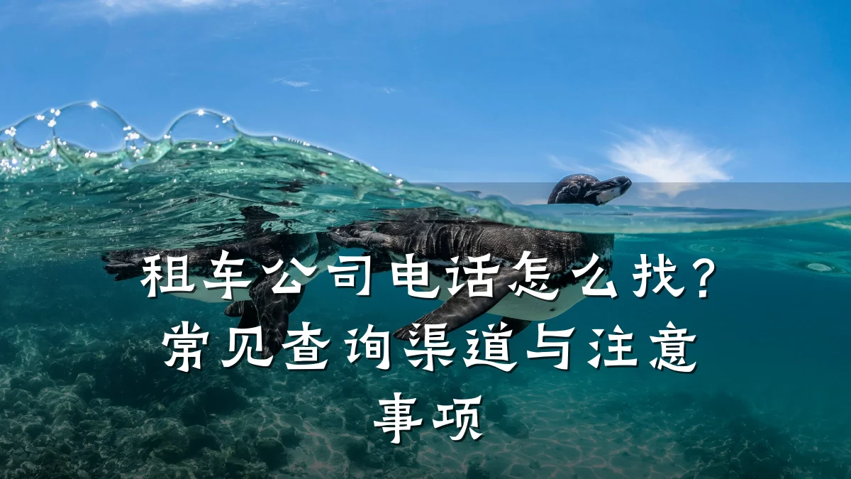 租车公司电话怎么找?常见查询渠道与注意事项