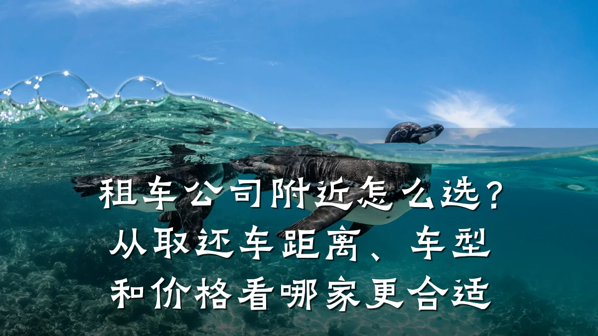 租车公司附近怎么选？从取还车距离、车型和价格看哪家更合适