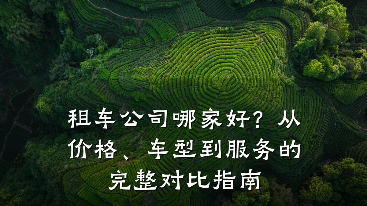 租车公司哪家好?从价格、车型到服务的完整对比指南
