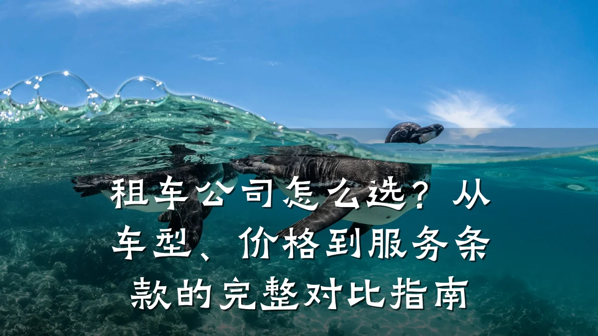 租车公司怎么选?从车型、价格到服务条款的完整对比指南