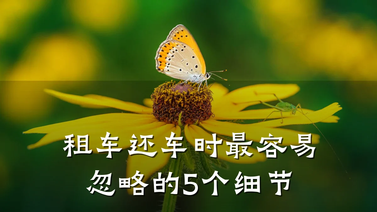 租车还车时最容易忽略的5个细节