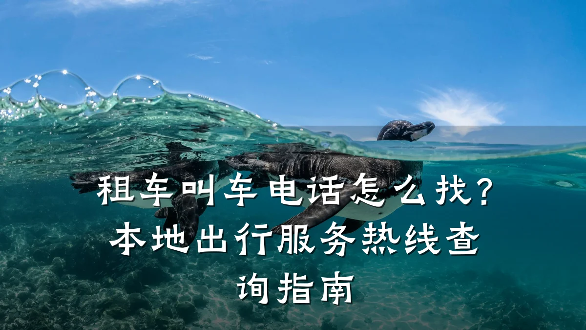 租车叫车电话怎么找?本地出行服务热线查询指南