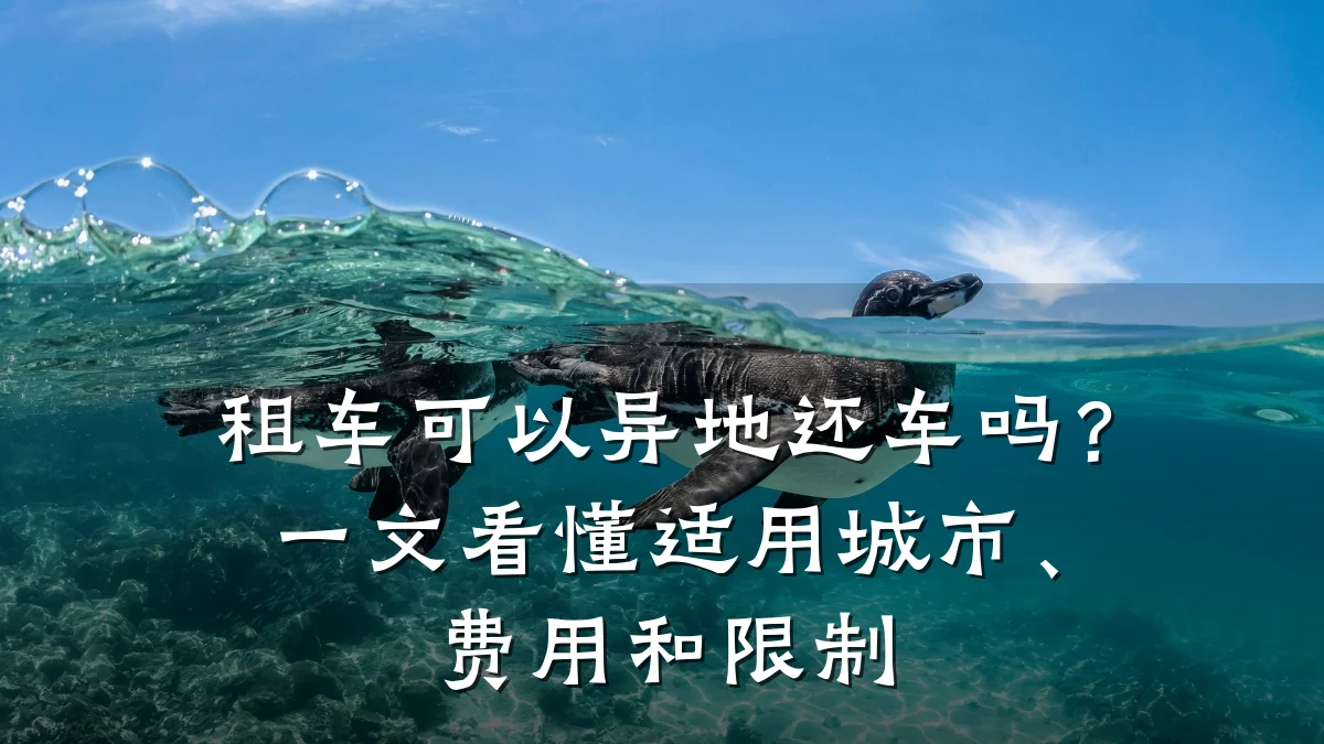 租车可以异地还车吗?一文看懂适用城市、费用和限制