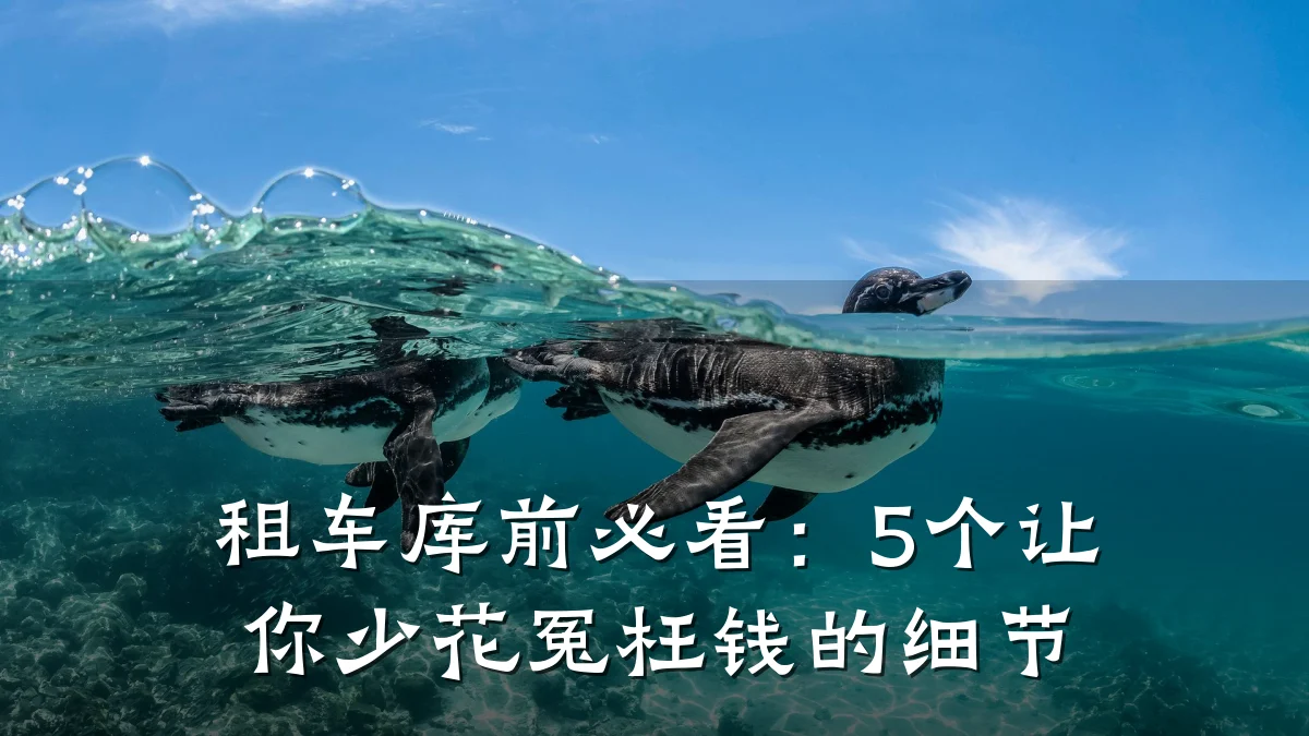 租车库前必看：5个让你少花冤枉钱的细节