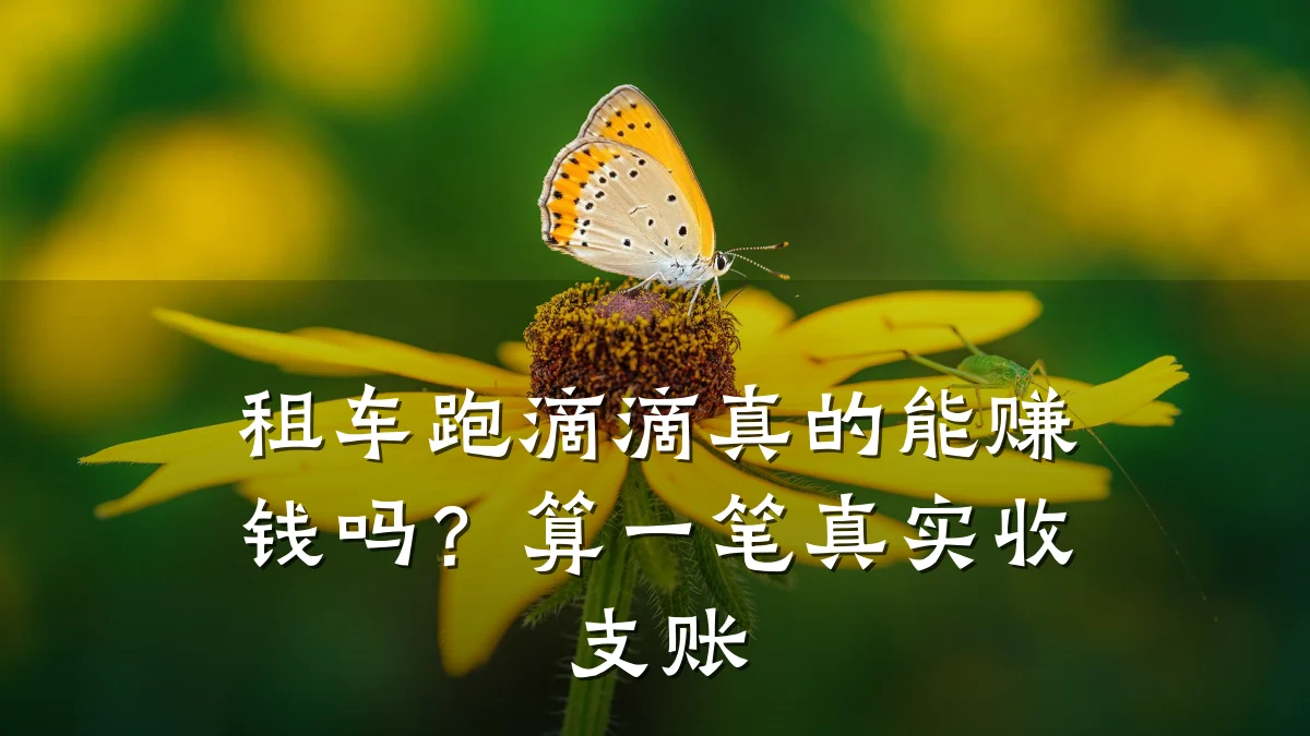 租车跑滴滴真的能赚钱吗?算一笔真实收支账