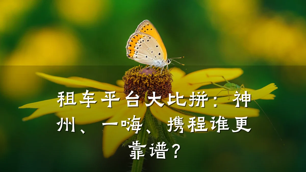 租车平台大比拼：神州、一嗨、携程谁更靠谱？