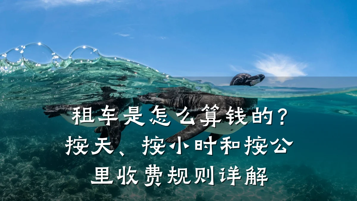 租车是怎么算钱的？按天、按小时和按公里收费规则详解