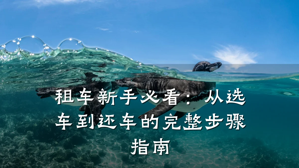租车新手必看：从选车到还车的完整步骤指南