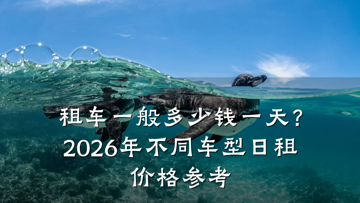 租车一般多少钱一天?2026年不同车型日租价格参考